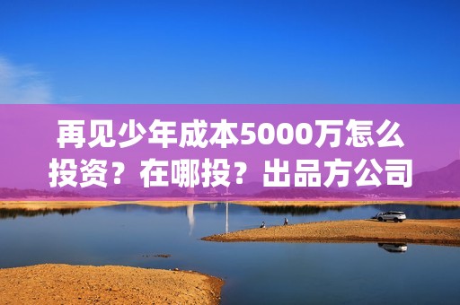 再见少年成本5000万怎么投资？在哪投？出品方公司怎么样？(再见少年解读)