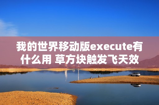 我的世界移动版execute有什么用 草方块触发飞天效果