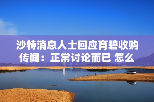 沙特消息人士回应育碧收购传闻：正常讨论而已 怎么就成国际新闻了
