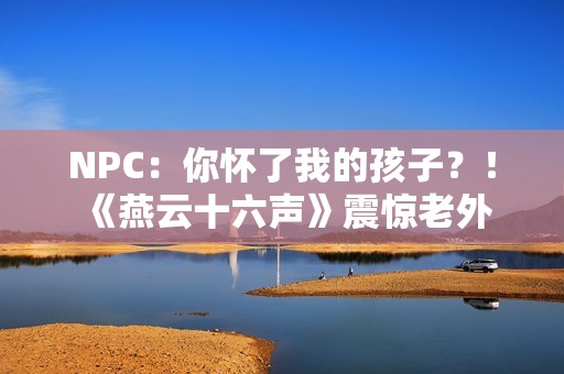 NPC：你怀了我的孩子？！《燕云十六声》震惊老外