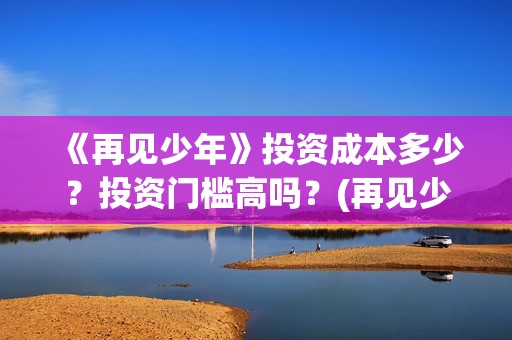 《再见少年》投资成本多少？投资门槛高吗？(再见少年个人投资真实吗)