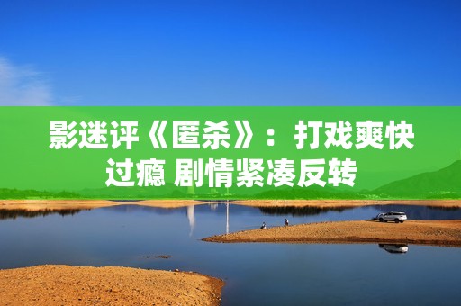 影迷评《匿杀》：打戏爽快过瘾 剧情紧凑反转