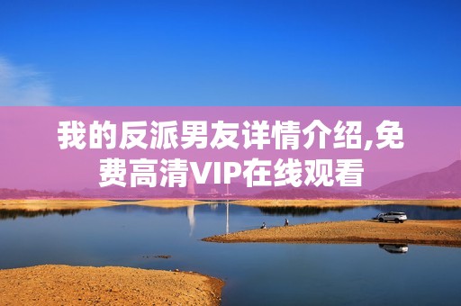 我的反派男友详情介绍,免费高清VIP在线观看