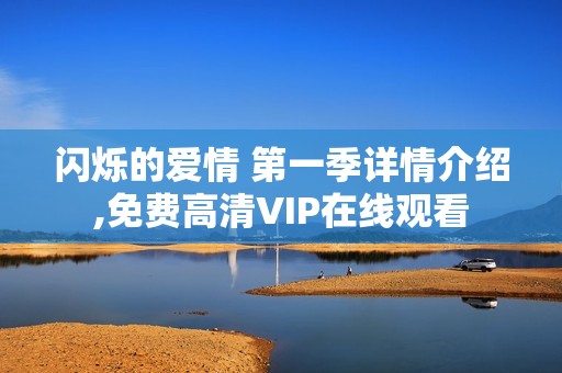 闪烁的爱情 第一季详情介绍,免费高清VIP在线观看