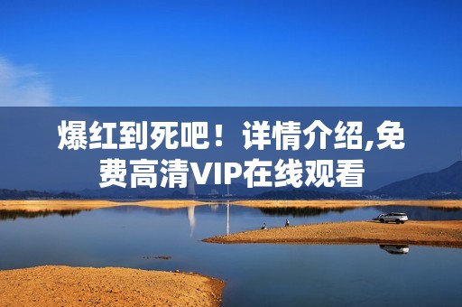 爆红到死吧！详情介绍,免费高清VIP在线观看