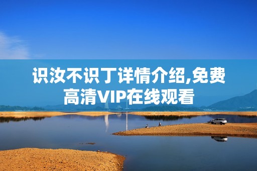 识汝不识丁详情介绍,免费高清VIP在线观看