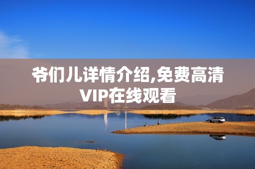 爷们儿详情介绍,免费高清VIP在线观看