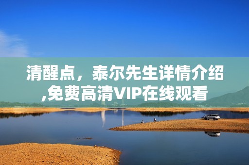 清醒点，泰尔先生详情介绍,免费高清VIP在线观看