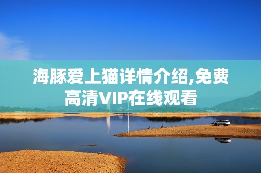 海豚爱上猫详情介绍,免费高清VIP在线观看
