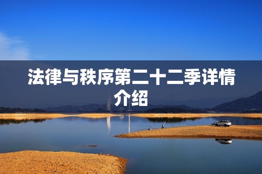 法律与秩序第二十二季详情介绍