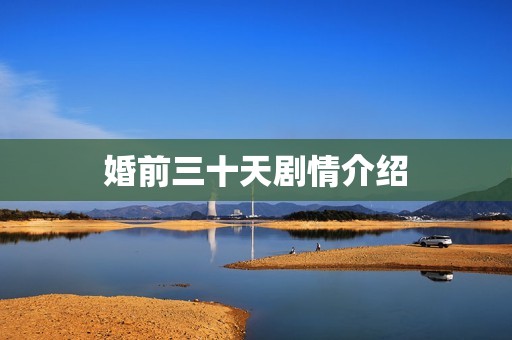婚前三十天剧情介绍