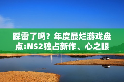踩雷了吗？年度最烂游戏盘点:NS2独占新作、心之眼等