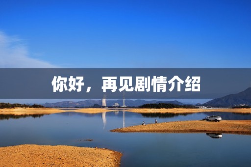 你好，再见剧情介绍