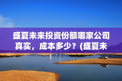 盛夏未来投资份额哪家公司真实，成本多少？(盛夏未来 投资方)