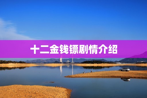 十二金钱镖剧情介绍