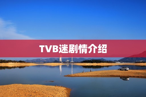 TVB迷剧情介绍