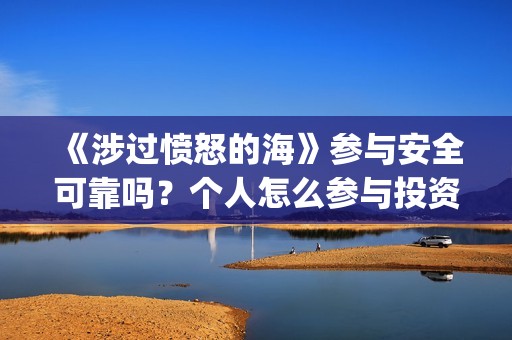 《涉过愤怒的海》参与安全可靠吗？个人怎么参与投资？(涉过愤怒的海事件原型)