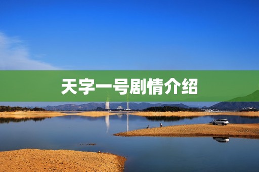 天字一号剧情介绍