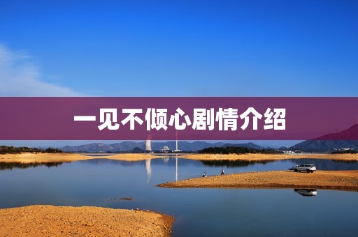 一见不倾心剧情介绍