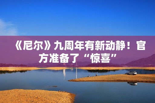 《尼尔》九周年有新动静！官方准备了“惊喜”