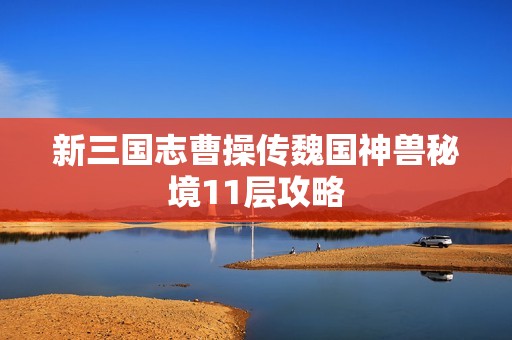 新三国志曹操传魏国神兽秘境11层攻略