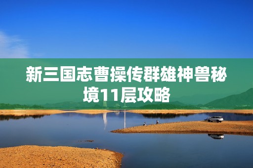 新三国志曹操传群雄神兽秘境11层攻略