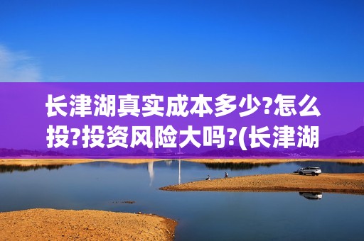 长津湖真实成本多少?怎么投?投资风险大吗?(长津湖盈利吗)