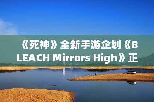 《死神》全新手游企划《BLEACH Mirrors High》正式启动