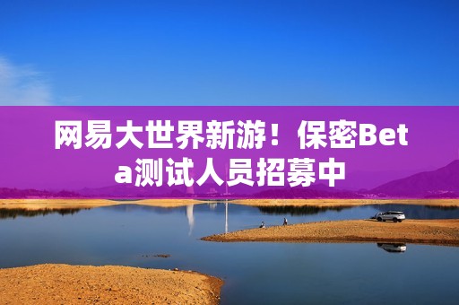 网易大世界新游！保密Beta测试人员招募中