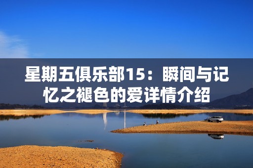 星期五俱乐部15：瞬间与记忆之褪色的爱详情介绍