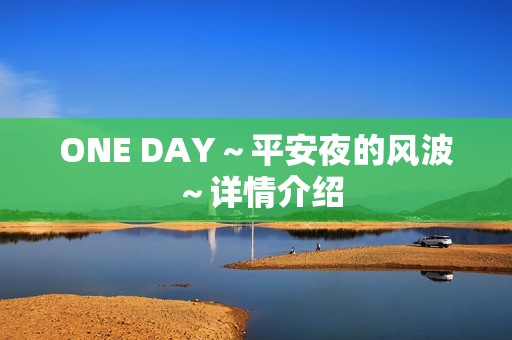 ONE DAY～平安夜的风波～详情介绍