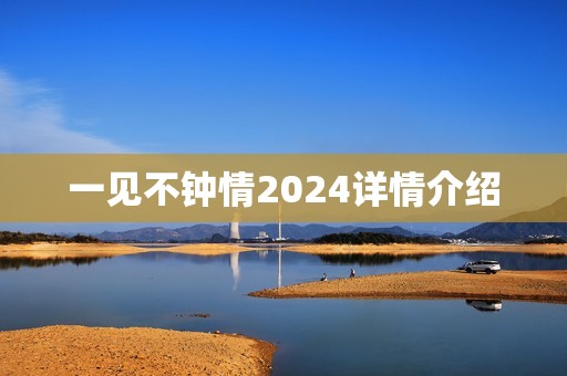 一见不钟情2024详情介绍