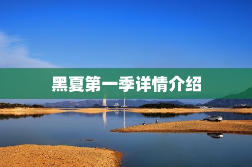 黑夏第一季详情介绍