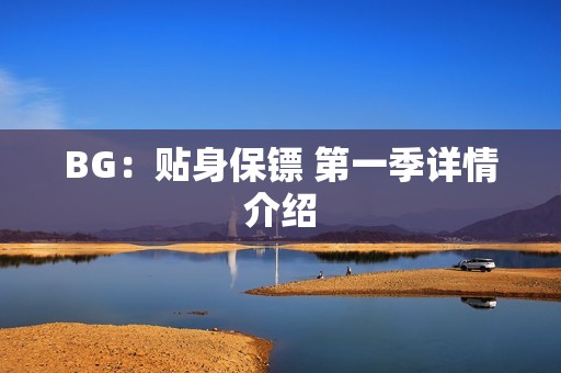 BG：贴身保镖 第一季详情介绍