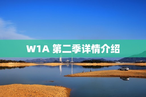 W1A 第二季详情介绍