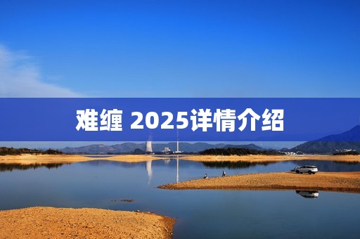 难缠 2025详情介绍