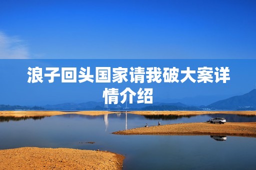浪子回头国家请我破大案详情介绍
