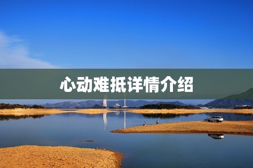 心动难抵详情介绍