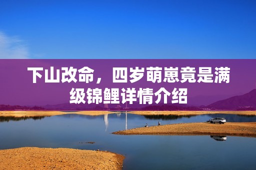 下山改命，四岁萌崽竟是满级锦鲤详情介绍