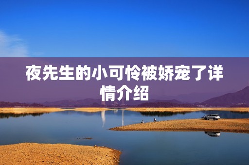 夜先生的小可怜被娇宠了详情介绍