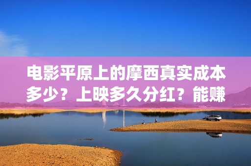 电影平原上的摩西真实成本多少？上映多久分红？能赚钱吗？(《平原上的摩西》迷雾剧场)