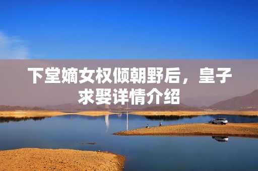 下堂嫡女权倾朝野后，皇子求娶详情介绍