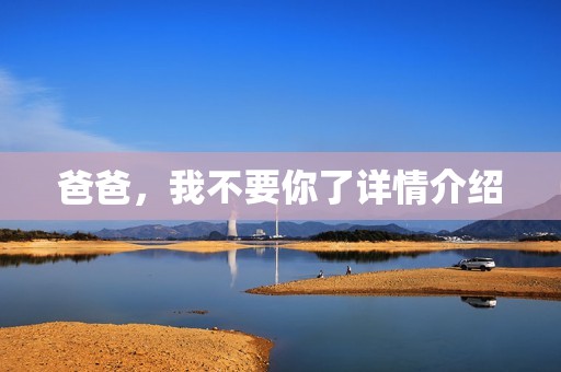 爸爸，我不要你了详情介绍