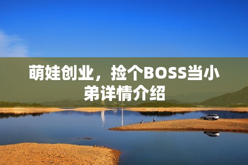 萌娃创业，捡个BOSS当小弟详情介绍