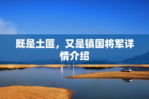 既是土匪，又是镇国将军详情介绍