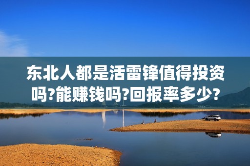 东北人都是活雷锋值得投资吗?能赚钱吗?回报率多少?(东北人都是活雷锋雪村mv)
