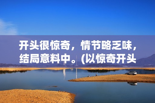 开头很惊奇，情节略乏味，结局意料中。(以惊奇开头的四字成语有哪些?)