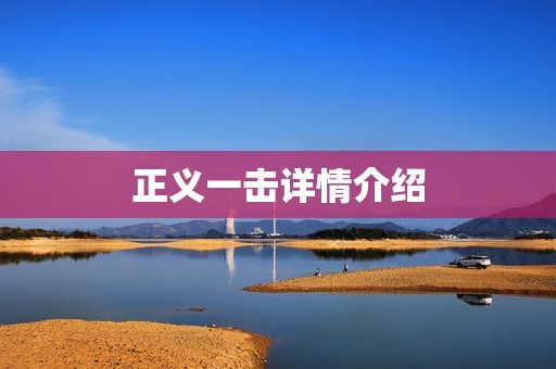 正义一击详情介绍