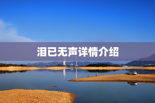 泪已无声详情介绍