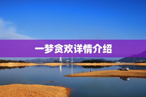 一梦贪欢详情介绍